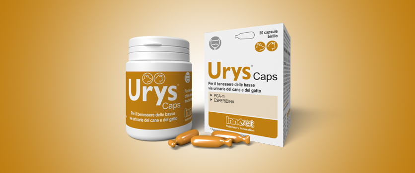 Nuovo Urys® Caps per la salute delle basse vie urinarie di cani e gatti