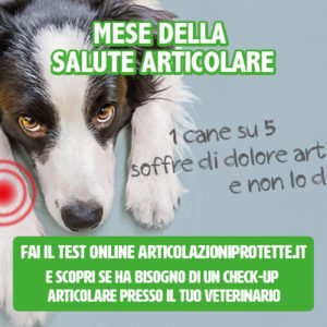 Novembre & Dicembre, mesi di salute articolare