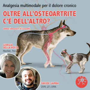Percorso on line sul dolore cronico per veterinari