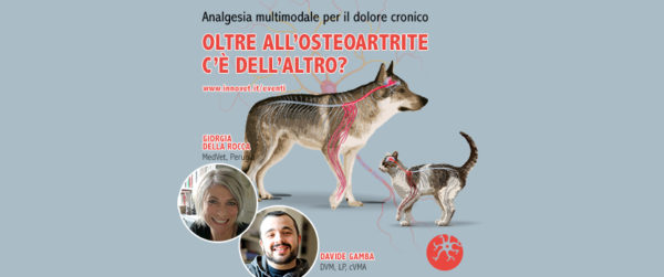 Percorso on line sul dolore cronico per veterinari