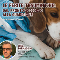 Formazione on line sulle ferite traumatiche
