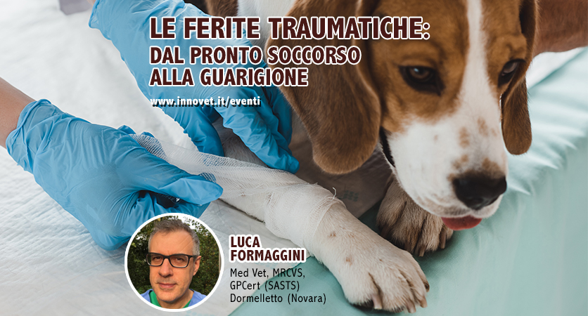 Formazione on line sulle ferite traumatiche