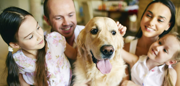 10 regole d’oro per amare gli animali con responsabilità