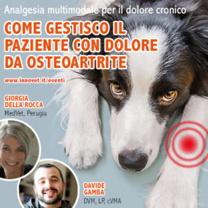 Un webinar sul dolore da osteoartrite