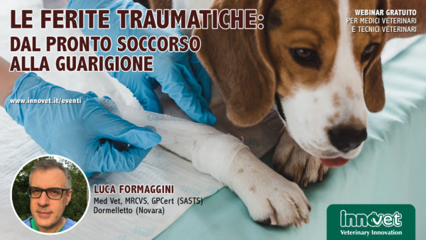 Le ferite traumatiche: dal pronto soccorso alla guarigione