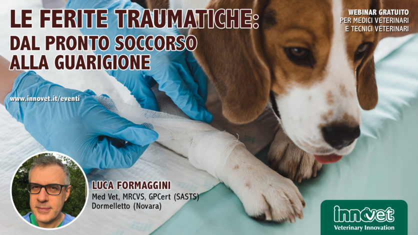 Le ferite traumatiche: dal pronto soccorso alla guarigione