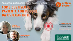 Analgesia multimodale per il dolore cronico: come gestisco il paziente con dolore da osteoartrite