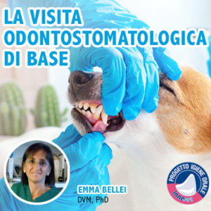 Ciclo di webinar dedicato all’odontostomatologia di base