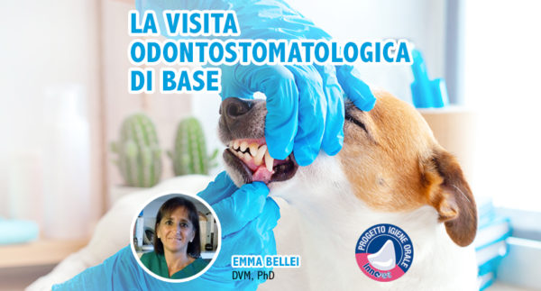 Ciclo di webinar dedicato all’odontostomatologia di base