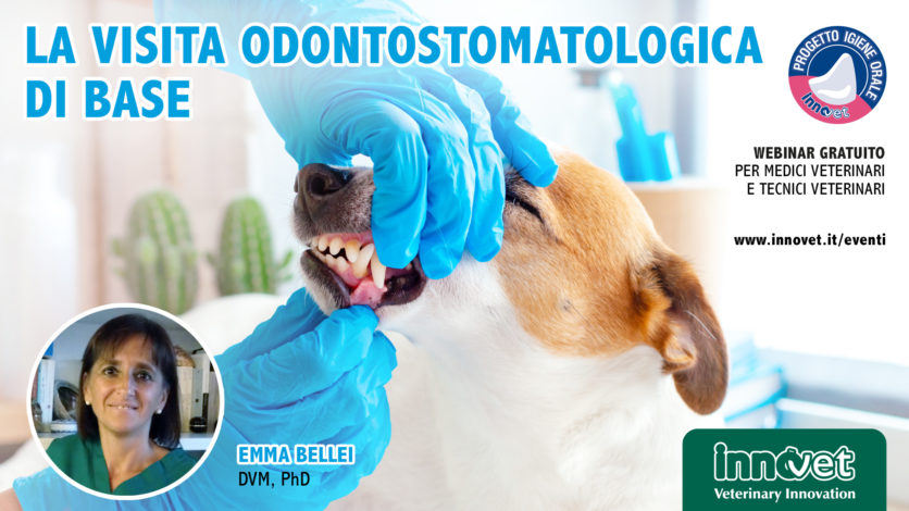 La visita odontostomatologica di base