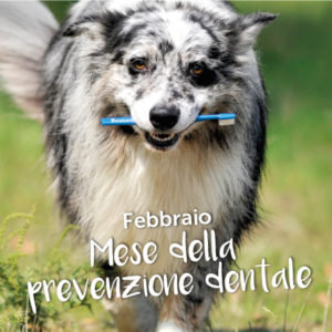 Febbraio, mese della prevenzione dentale