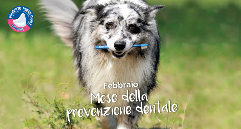 Febbraio, mese della prevenzione dentale