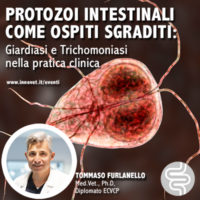 Ciclo di webinar dedicato alla gastroenterologia