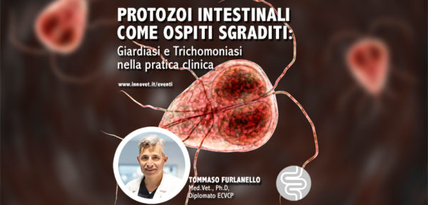 Ciclo di webinar dedicato alla gastroenterologia