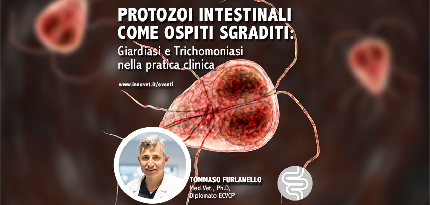 Ciclo di webinar dedicato alla gastroenterologia