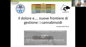 Il dolore e nuove frontiere di gestione: i cannabinoidi