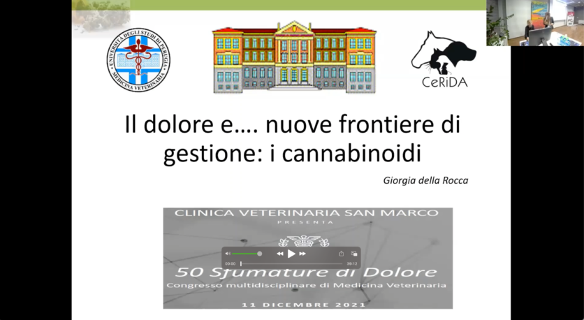 Il dolore e nuove frontiere di gestione: i cannabinoidi