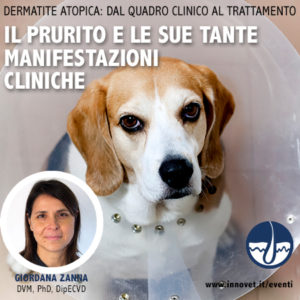Dermatite atopica: un ciclo di webinar con tante novità