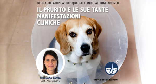 Dermatite atopica: un ciclo di webinar con tante novità