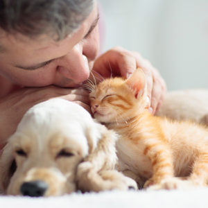 Bonus animali domestici 2022: cosa prevede