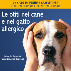 Un ciclo di webinar sulle otiti di cani e gatti allergici