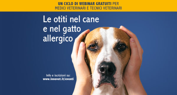 Un ciclo di webinar sulle otiti di cani e gatti allergici