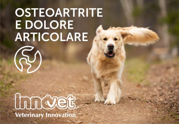 Interventi nutrizionali mirati all’Osteoartrite