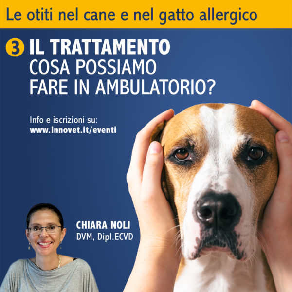 LE OTITI NEL CANE E NEL GATTO ALLERGICO: COSA POSSIAMO FARE IN AMBULATORIO?