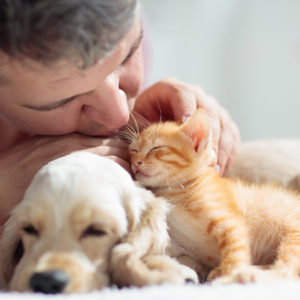 Altroconsumo: 62 milioni di pet nelle nostre case