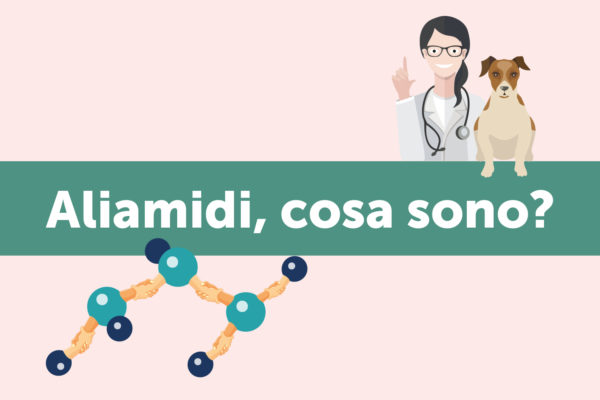 Aliamidi, cosa sono?