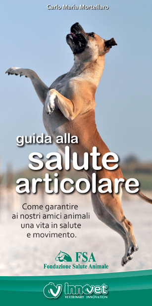 Un nuovo sito sulla Salute Articolare del cane: www.articolazioniprotette.it