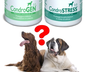 Condrogen® e Condrostress®. Quando uno e quando l’altro.