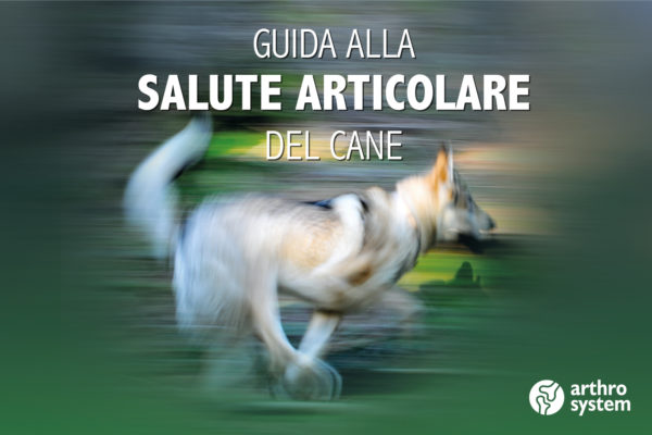 Salute Articolare del Cane