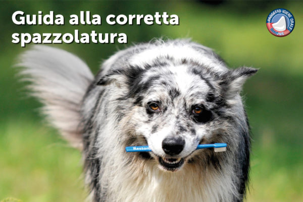 Guida alla corretta spazzolatura dei denti