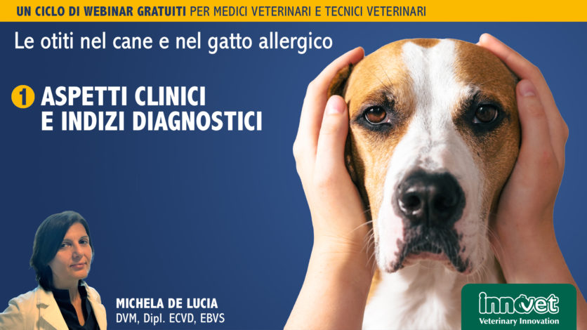 Le otiti nel cane e nel gatto allergico - Aspetti clinici e indizi diagnostici