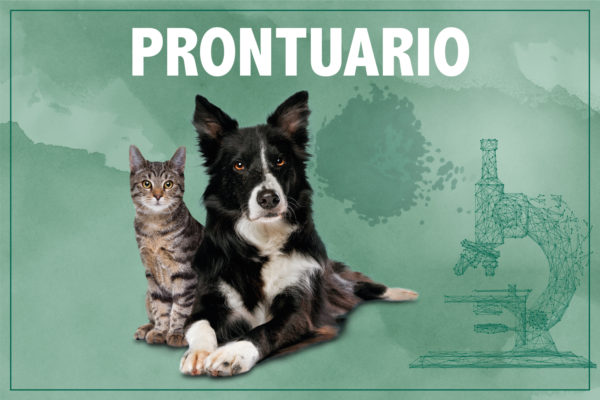 Salute e benessere del cane e del gatto