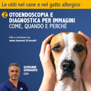 Un webinar di otoendoscopia del cane e del gatto