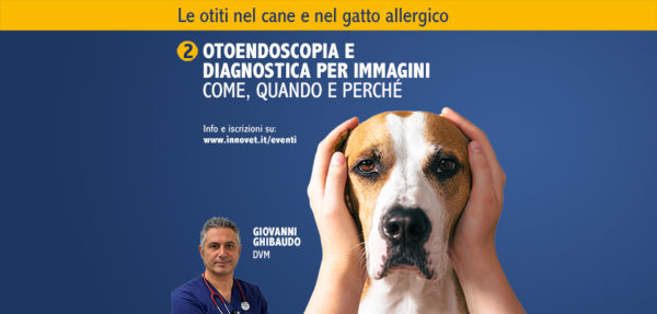 Un webinar di otoendoscopia del cane e del gatto