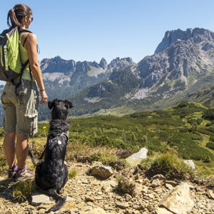 Quest’estate tutti a Cortina con Fido!