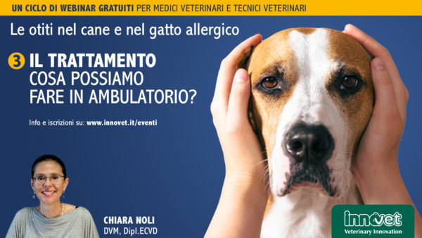 Le otiti nel cane e nel gatto allergico - Il trattamento: cosa possiamo fare in ambulatorio?