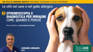 Le otiti nel cane e nel gatto allergico - Otoendoscopia e diagnostica per immagini: come, quando e perché