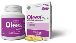 Oleea® Caps