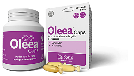 Oleea® Caps