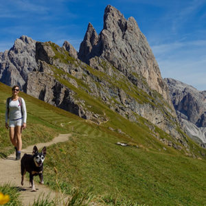 Quattro zampe in vacanza a Cortina!