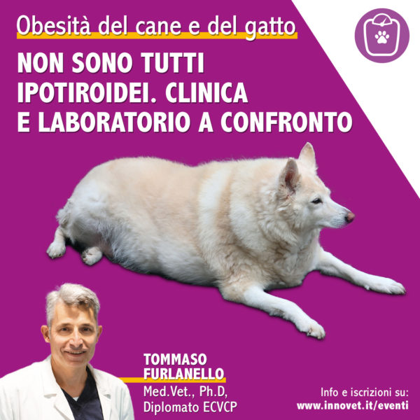 OBESITA' DEL CANE E DEL GATTO: Non sono tutti ipotiroidei. Clinica e laboratorio a confronto