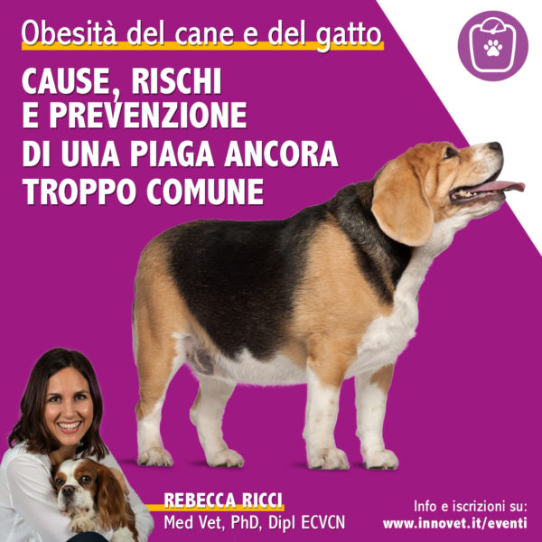 OBESITA' DEL CANE E DEL GATTO: Cause, rischi e prevenzione di una piaga ancora troppo comune