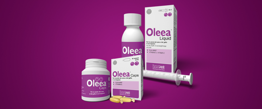 Oleea®: un nuovo prodotto per la salute di cani e gatti in sovrappeso
