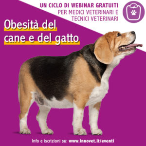 Un nuovo ciclo di webinar dedicato all’obesità canina e felina