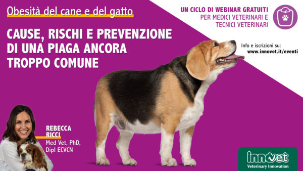 Obesità del cane e del gatto - Cause, rischi e prevenzione di una piaga ancora troppo comune