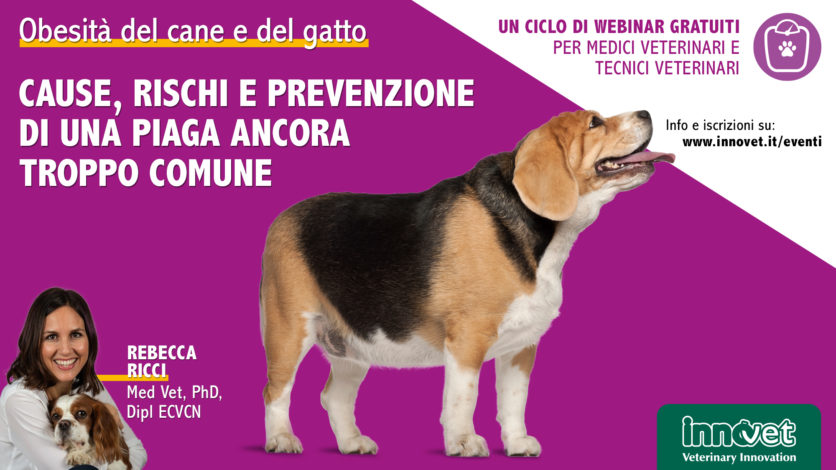 Obesità del cane e del gatto - Cause, rischi e prevenzione di una piaga ancora troppo comune